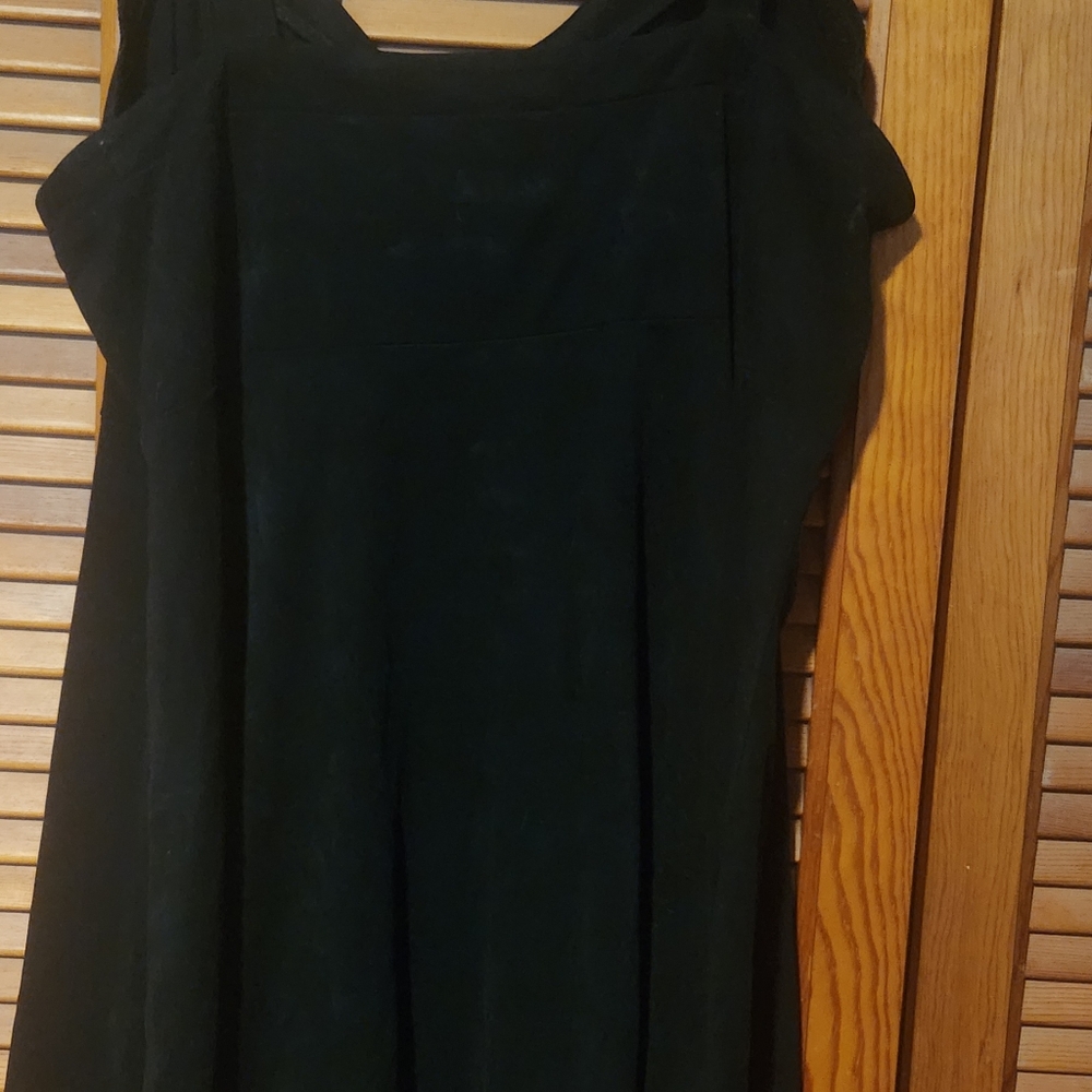 Velvet/Sued Dress
